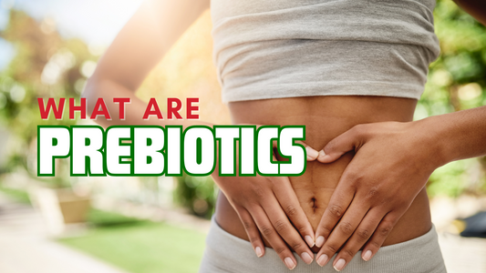 what are prebiotics